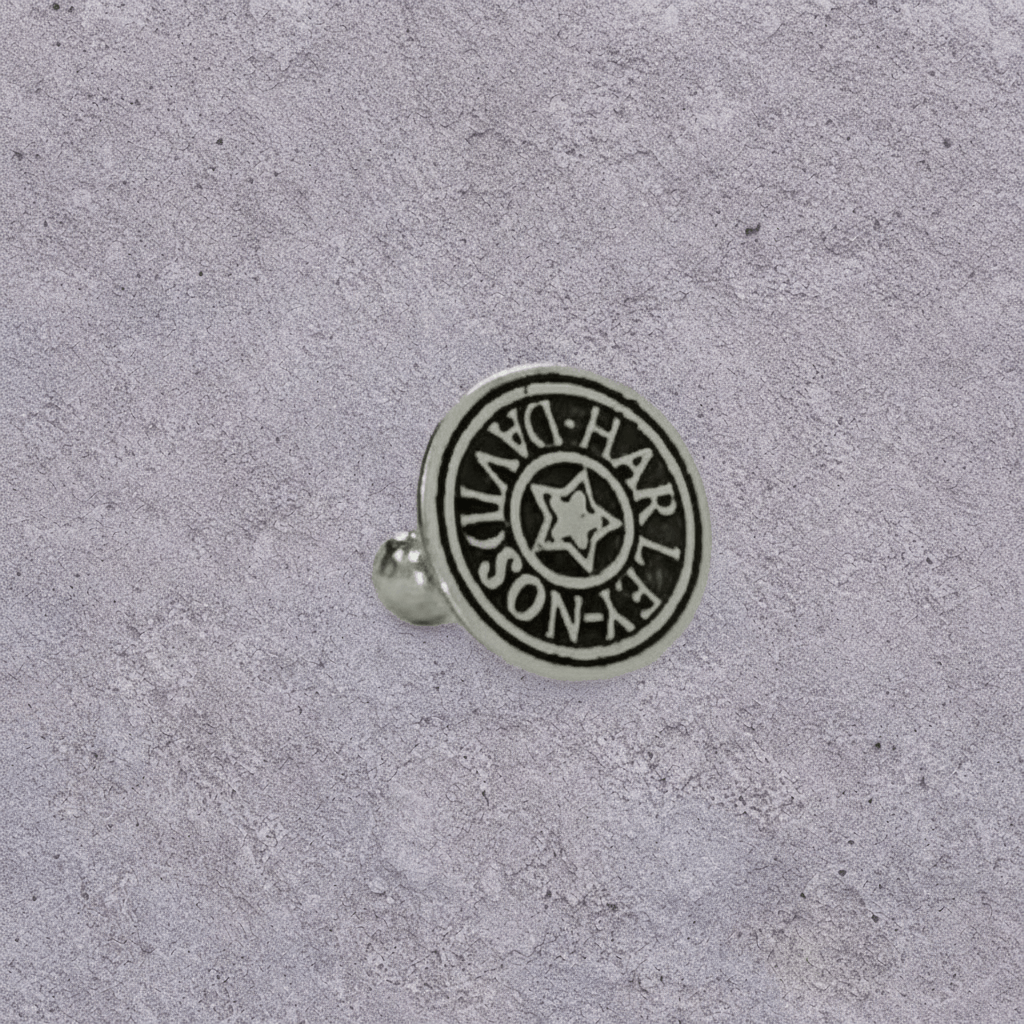 Star Coin Studs