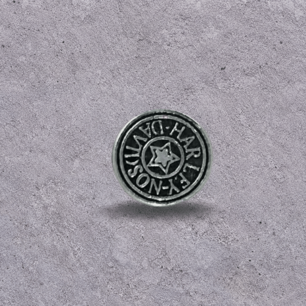 Star Coin Studs