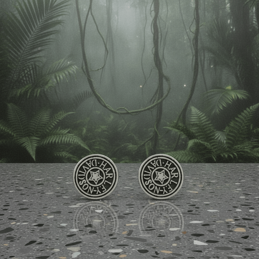 Star Coin Studs